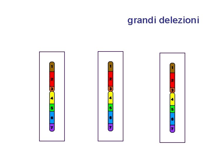 grandi delezioni 