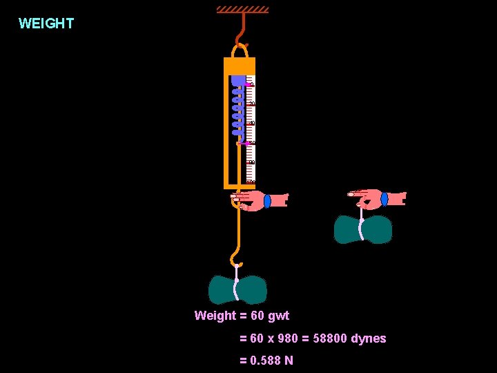 WEIGHT 0 0 20 20 40 40 60 60 80 80 100 Weight =