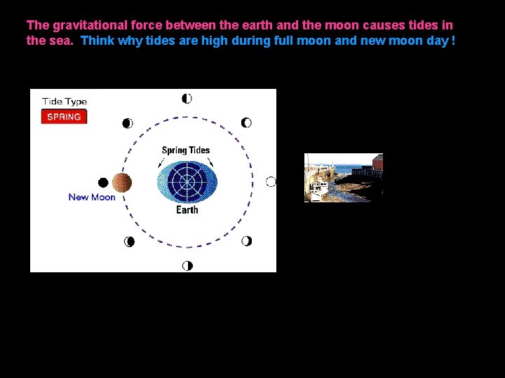 The gravitational force between the earth and the moon causes tides in the sea.