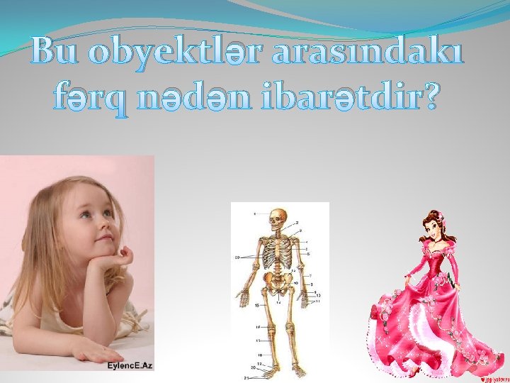 Bu obyektlər arasındakı fərq nədən ibarətdir? 