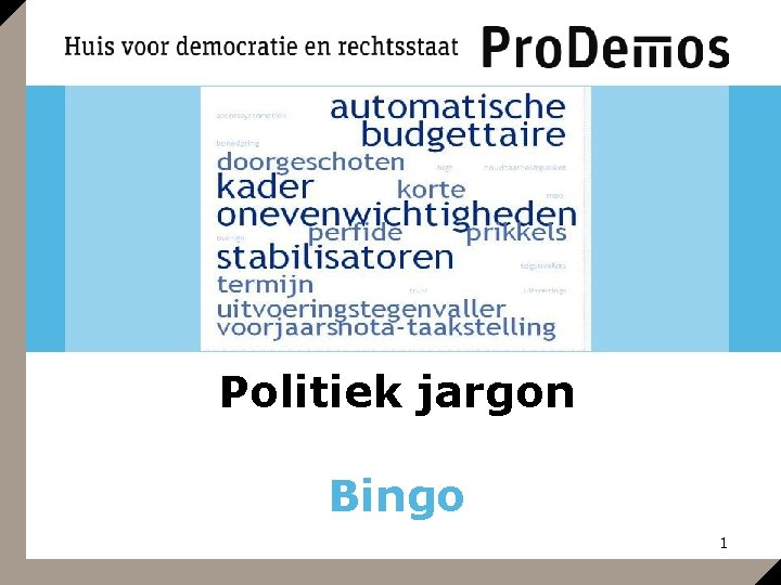 Politiek jargon Bingo 1 