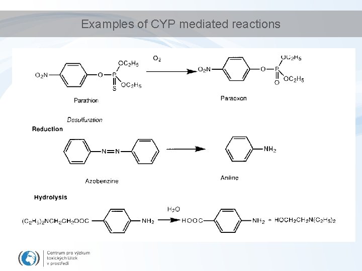 Examples of CYP mediated reactions 