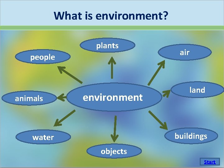 What is environment? plants people animals environment air land buildings water objects Start 