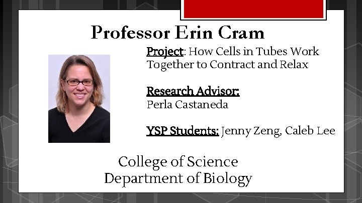 Professor Erin Cram Project: How Cells in Tubes Work Together to Contract and Relax Professor Erin Cram Project: How Cells in Tubes Work Together to Contract and Relax