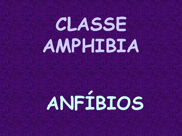 CLASSE AMPHIBIA ANFÍBIOS 
