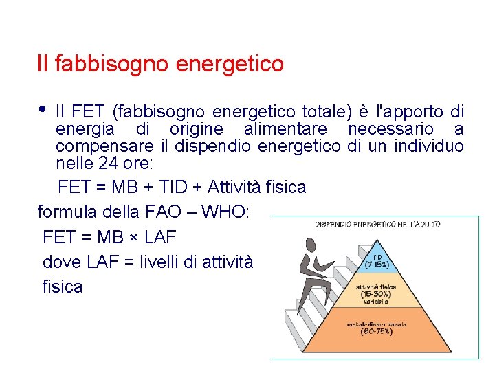 Il fabbisogno energetico • Il FET (fabbisogno energetico totale) è l'apporto di energia di