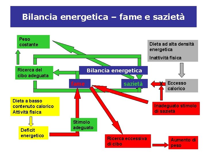 Bilancia energetica – fame e sazietà Peso costante Dieta ad alta densità energetica Inattività