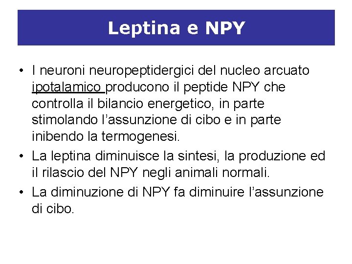 Leptina e NPY • I neuroni neuropeptidergici del nucleo arcuato ipotalamico producono il peptide