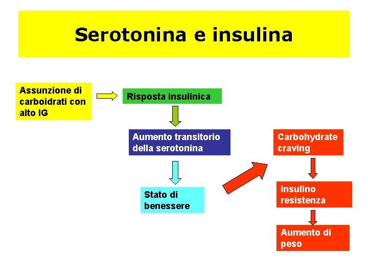 Serotonina e insulina Assunzione di carboidrati con alto IG Risposta insulinica Aumento transitorio della