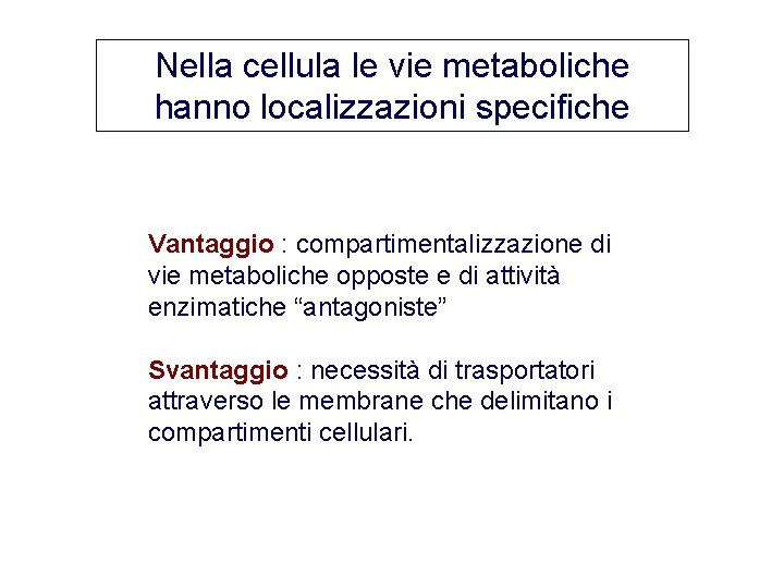 Nella cellula le vie metaboliche hanno localizzazioni specifiche Vantaggio : compartimentalizzazione di vie metaboliche