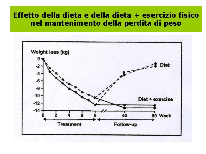 Effetto della dieta e della dieta + esercizio fisico nel mantenimento della perdita di