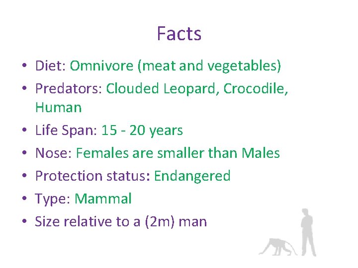 Facts • Diet: Omnivore (meat and vegetables) • Predators: Clouded Leopard, Crocodile, Human •