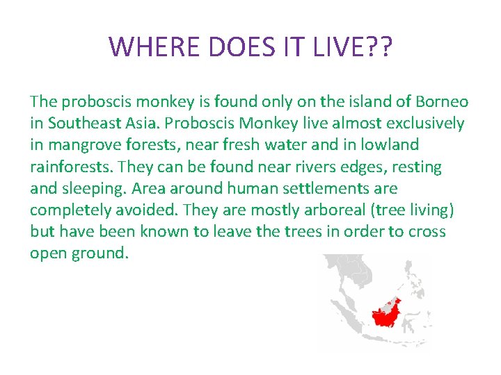 WHERE DOES IT LIVE? ? The proboscis monkey is found only on the island