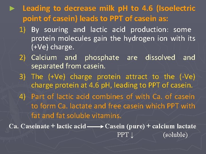 ► Leading to decrease milk p. H to 4. 6 (Isoelectric point of casein)