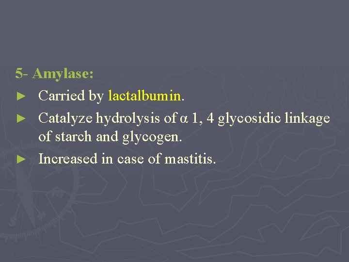 5 - Amylase: ► Carried by lactalbumin. ► Catalyze hydrolysis of α 1, 4