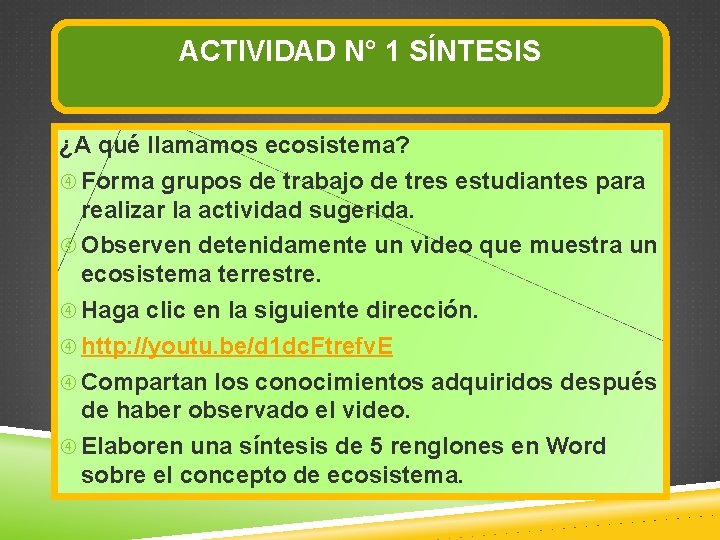 ACTIVIDAD N° 1 SÍNTESIS ¿A qué llamamos ecosistema? Forma grupos de trabajo de tres