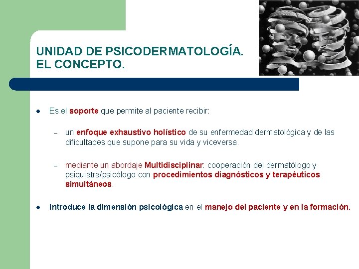 UNIDAD DE PSICODERMATOLOGÍA. EL CONCEPTO. l l Es el soporte que permite al paciente