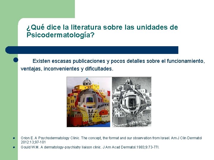 ¿Qué dice la literatura sobre las unidades de Psicodermatología? l l l Existen escasas