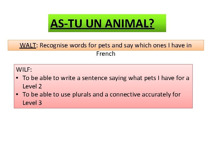 AS-TU UN ANIMAL? WALT: Recognise words for pets and say which ones I have AS-TU UN ANIMAL? WALT: Recognise words for pets and say which ones I have