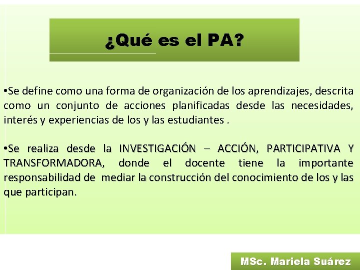 ¿Qué es el PA? • Se define como una forma de organización de los