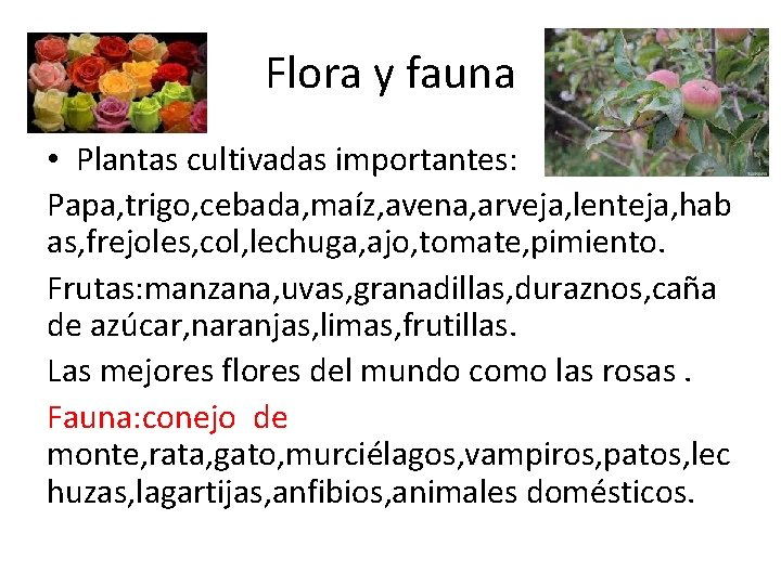 Flora y fauna • Plantas cultivadas importantes: Papa, trigo, cebada, maíz, avena, arveja, lenteja,