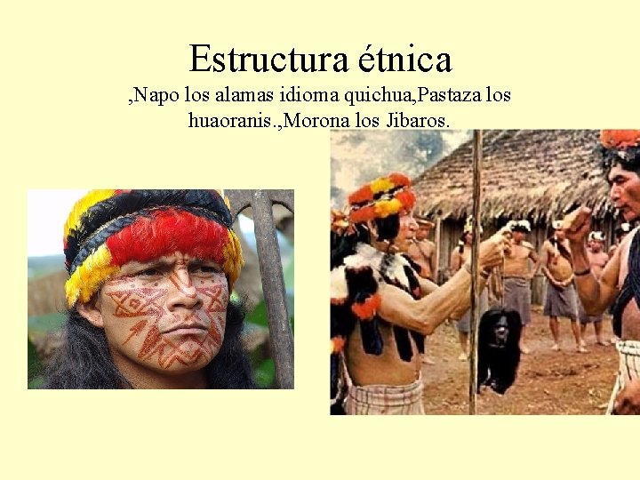 Estructura étnica , Napo los alamas idioma quichua, Pastaza los huaoranis. , Morona los