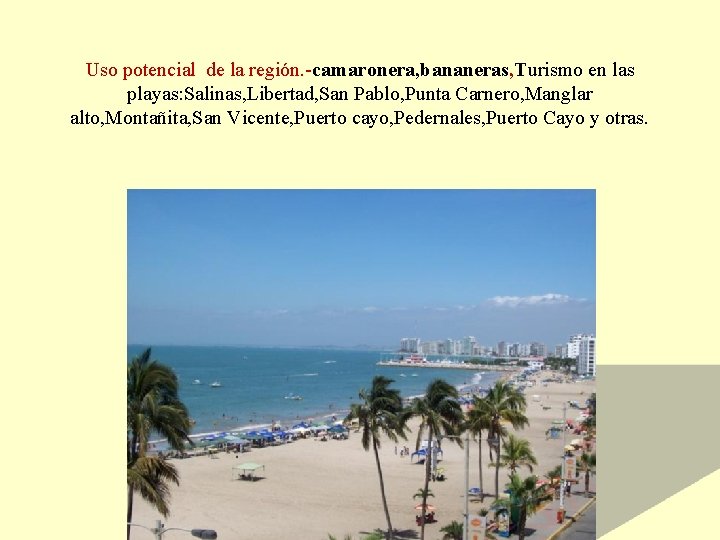 Uso potencial de la región. -camaronera, bananeras, Turismo en las playas: Salinas, Libertad, San