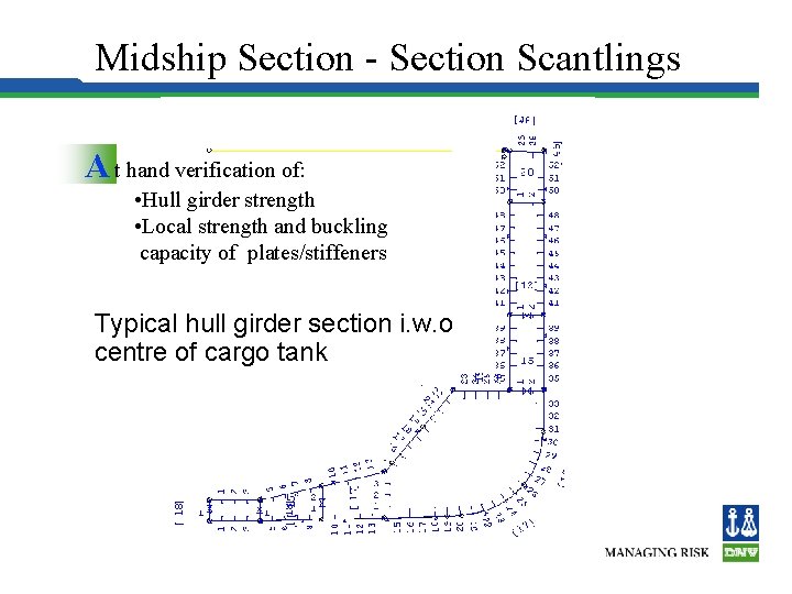 Midship Section - Section Scantlings A t hand verification of: • Hull girder strength