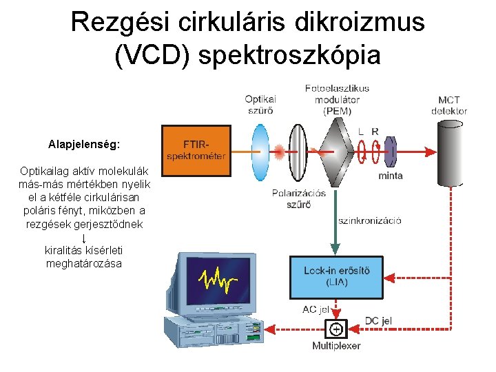 Rezgési cirkuláris dikroizmus (VCD) spektroszkópia Alapjelenség: Optikailag aktív molekulák más-más mértékben nyelik el a