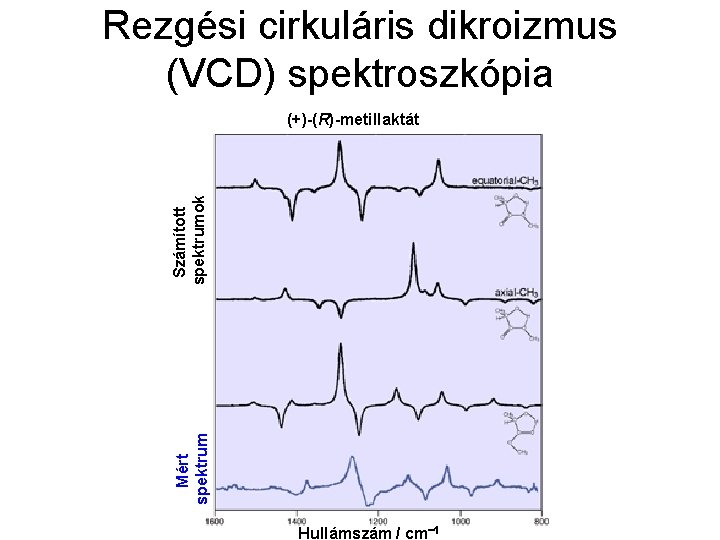 Rezgési cirkuláris dikroizmus (VCD) spektroszkópia Mért spektrum Számított spektrumok (+)-(R)-metillaktát Hullámszám / cm 1