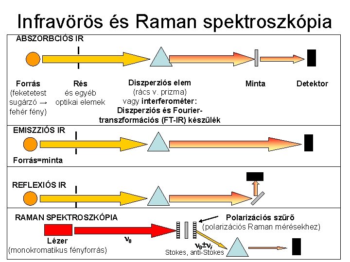 Infravörös és Raman spektroszkópia ABSZORBCIÓS IR Forrás (feketetest sugárzó → fehér fény) Diszperziós elem