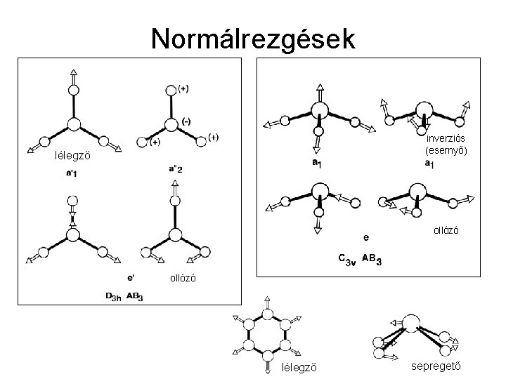 Normálrezgések inverziós (esernyő) lélegző ollózó lélegző sepregető 