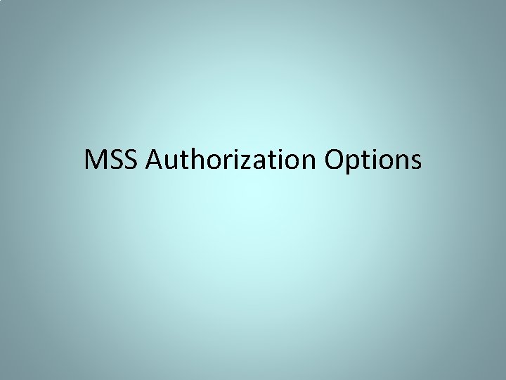 MSS Authorization Options 