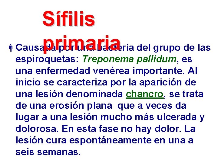 Sífilis primaria Causada por una bacteria del grupo de las espiroquetas: Treponema pallidum, es