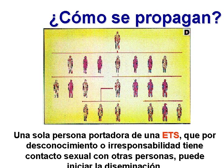 ¿Cómo se propagan? Una sola persona portadora de una ETS, que por desconocimiento o