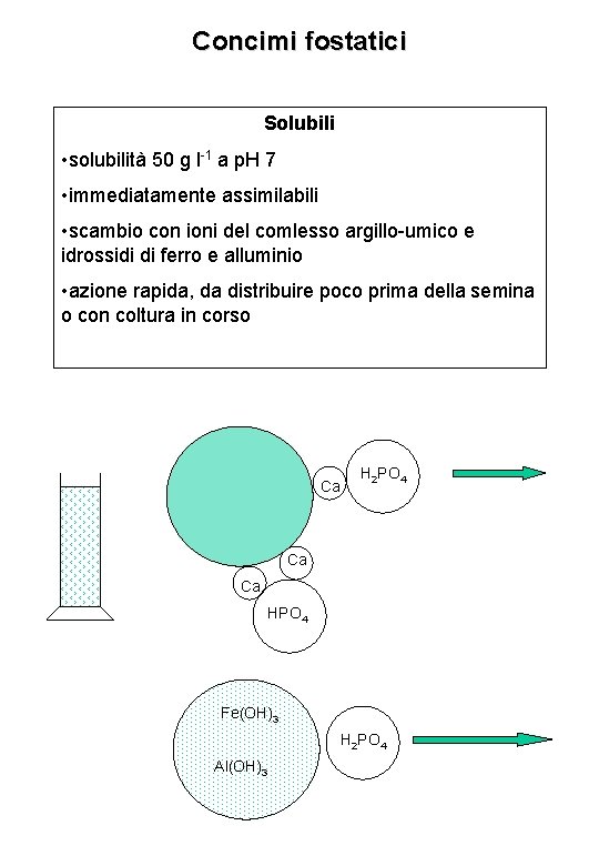 Concimi fostatici Solubili • solubilità 50 g l-1 a p. H 7 • immediatamente