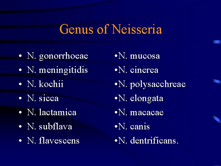 Genus of Neisseria • • N. gonorrhoeae N. meningitidis N. kochii N. sicca N.