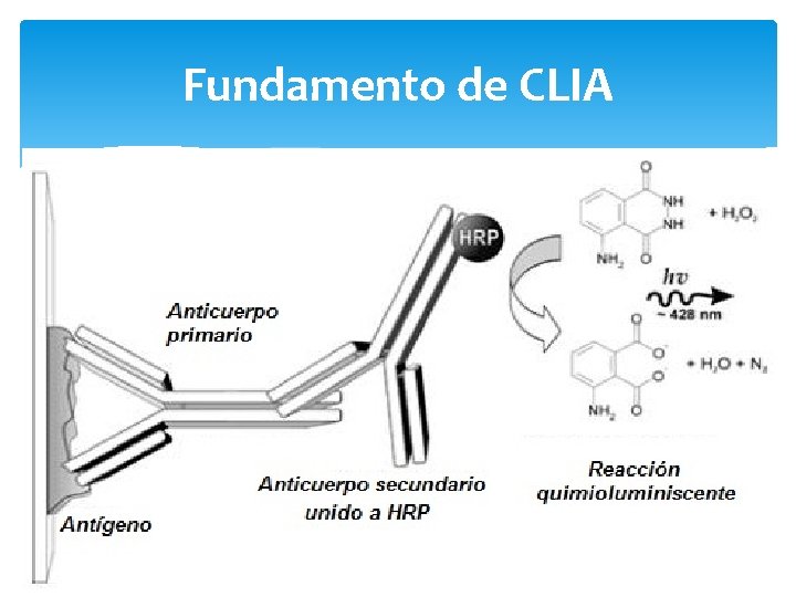 Fundamento de CLIA 