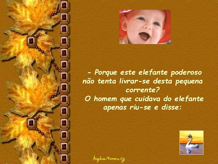 - Porque este elefante poderoso não tenta livrar-se desta pequena corrente? O homem que