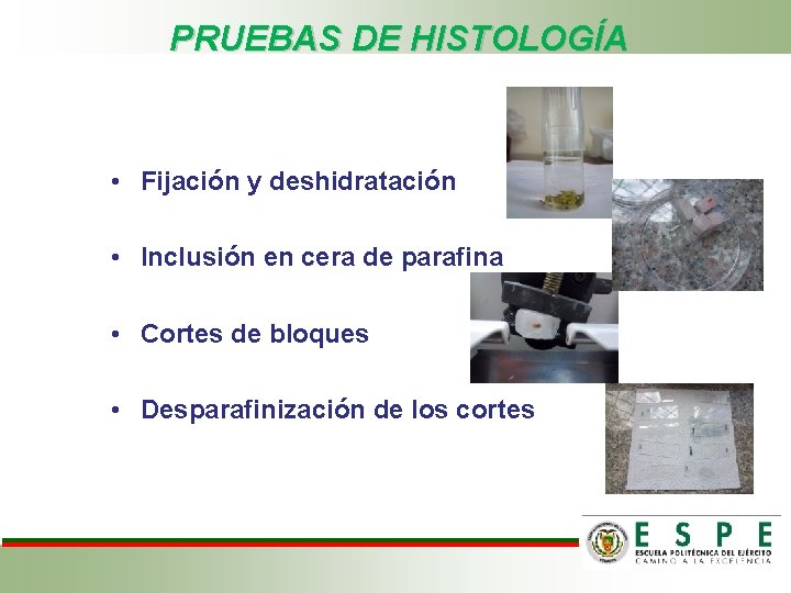 PRUEBAS DE HISTOLOGÍA • Fijación y deshidratación • Inclusión en cera de parafina •