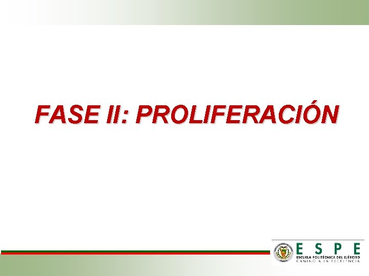 FASE II: PROLIFERACIÓN 