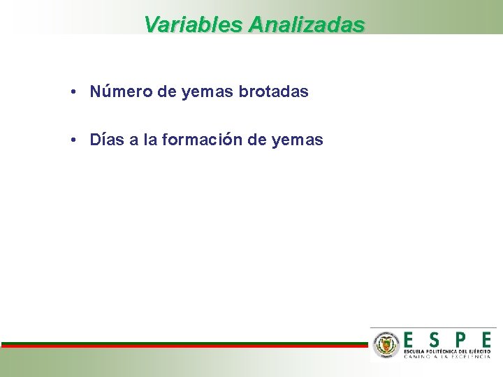 Variables Analizadas • Número de yemas brotadas • Días a la formación de yemas