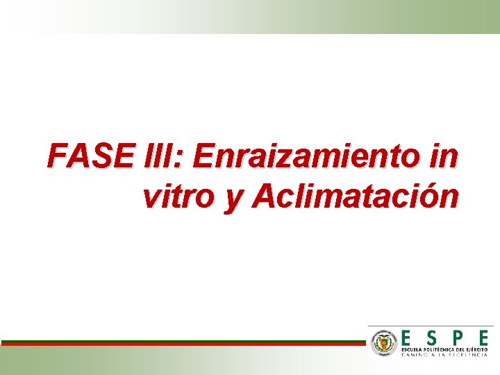 FASE III: Enraizamiento in vitro y Aclimatación 