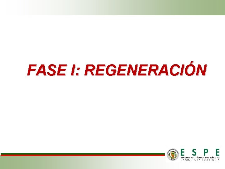 FASE I: REGENERACIÓN 