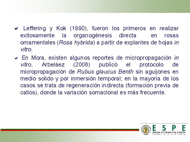  Leffering y Kok (1990), fueron los primeros en realizar exitosamente la organogénesis directa