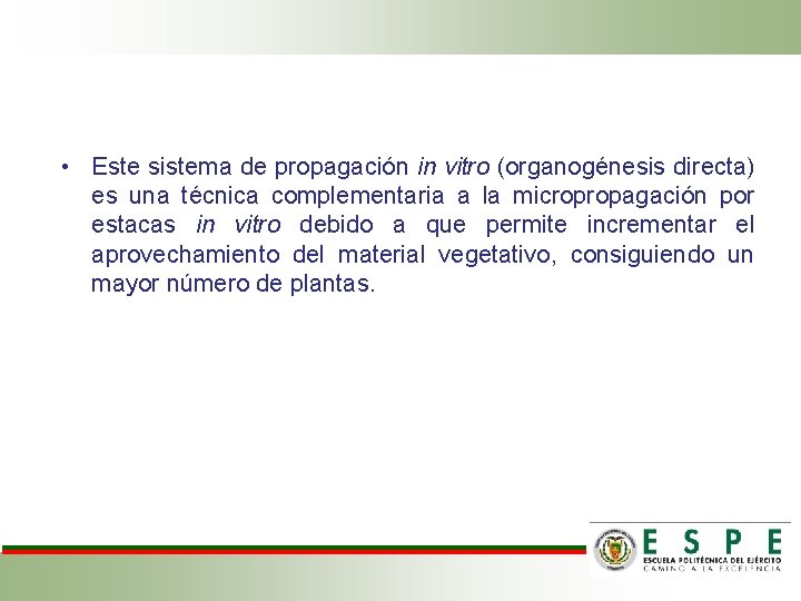  • Este sistema de propagación in vitro (organogénesis directa) es una técnica complementaria