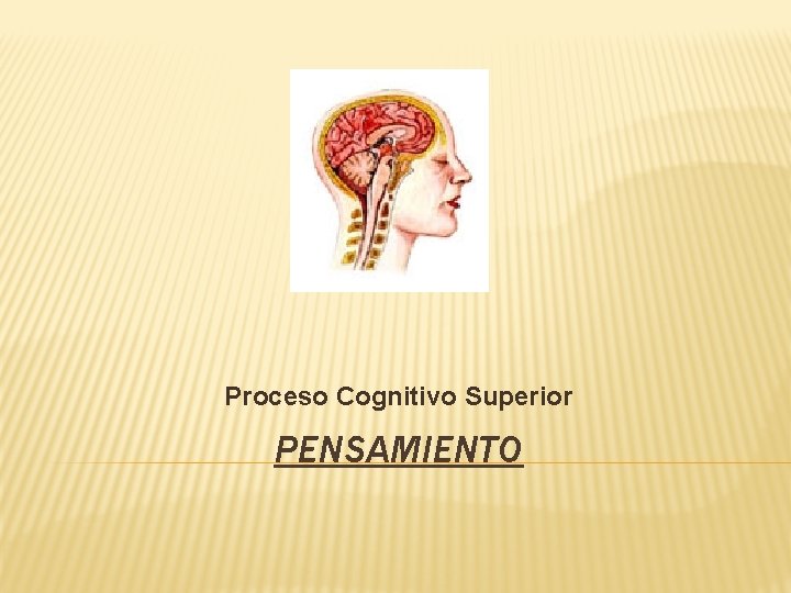 Proceso Cognitivo Superior PENSAMIENTO 