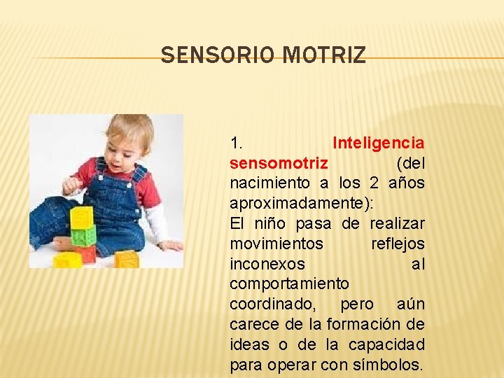 SENSORIO MOTRIZ 1. Inteligencia sensomotriz (del nacimiento a los 2 años aproximadamente): El niño