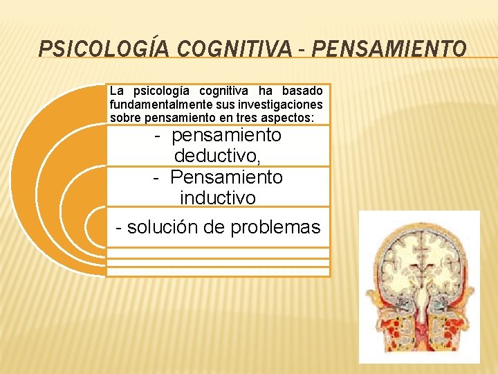 PSICOLOGÍA COGNITIVA - PENSAMIENTO La psicología cognitiva ha basado fundamentalmente sus investigaciones sobre pensamiento