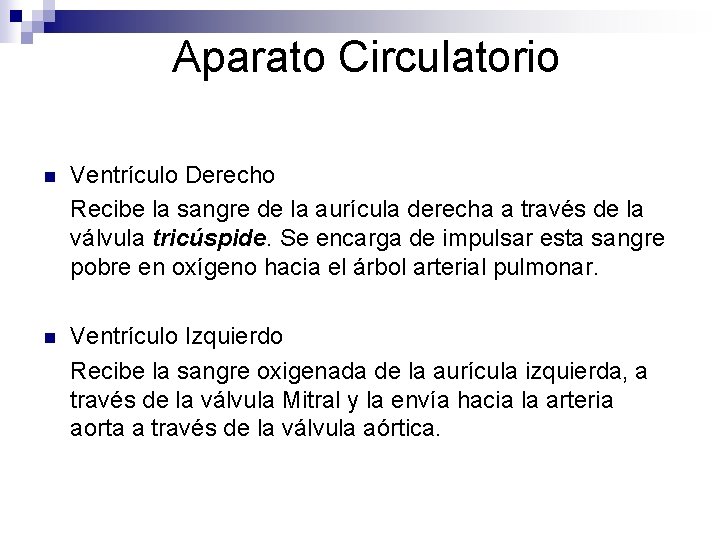 Aparato Circulatorio n Ventrículo Derecho Recibe la sangre de la aurícula derecha a través